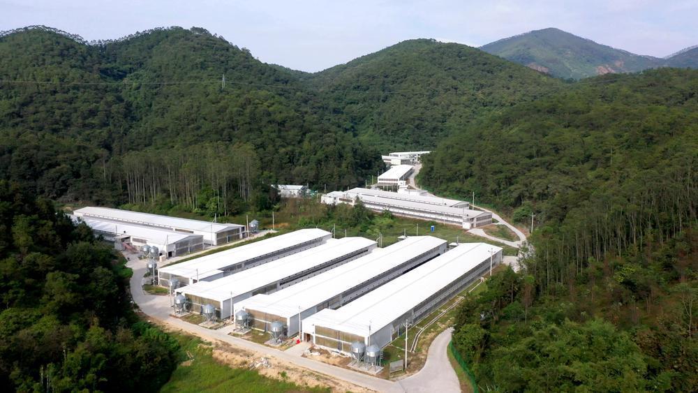 “强县”之路的新兴探索：“三产并进”打造“六大百亿产业集群”(图9)