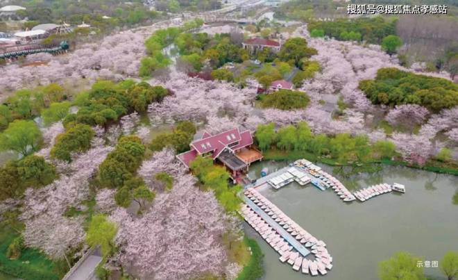 ◈招商时代乐章宝山招商时代乐章售楼处发布：户型图出炉(图22)