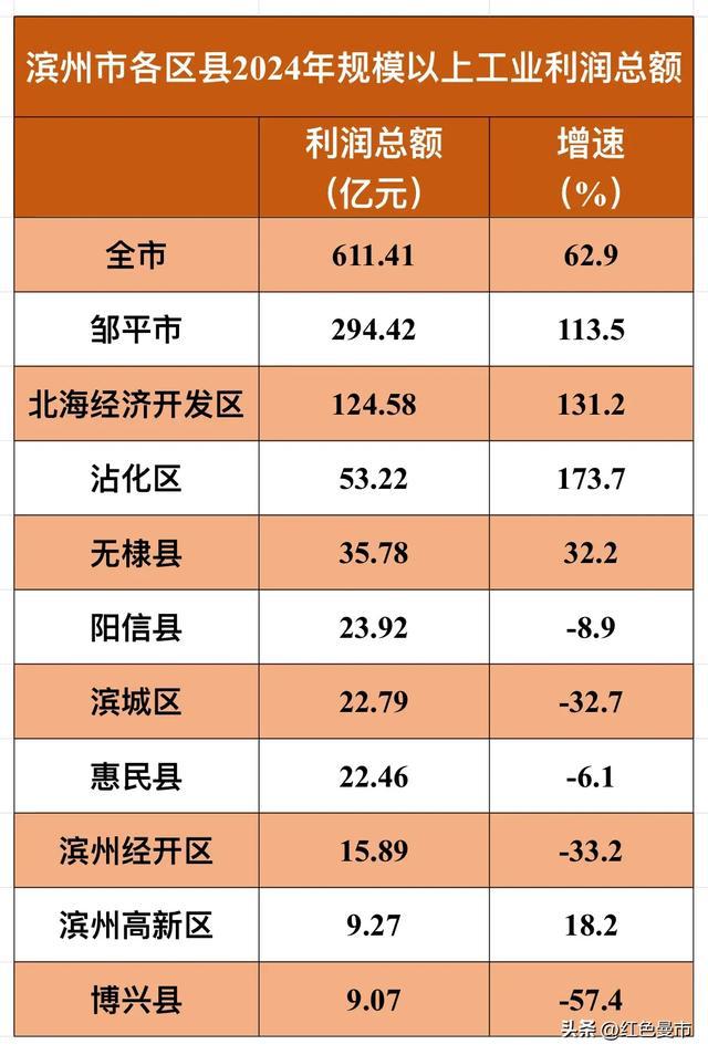 邹平独占近5成博兴县末位：滨州各区县2024年规上工业利润总额(图3)
