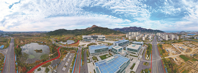 全力助企“强筋壮骨”！荣成市四力驱动激活“蓝色引擎”