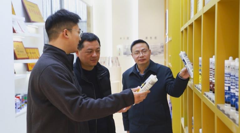 桐城：政企同心奏响高质量发展“进行曲”