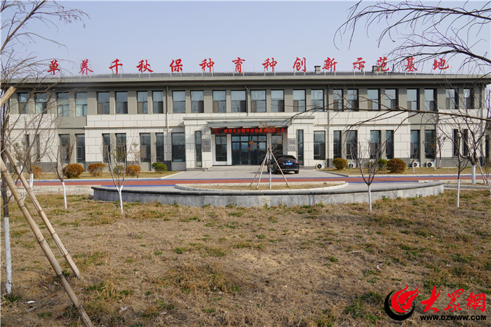 改革创新在单县丨以改革突破为牵引以新质生产力塑造羊肉汤产业新优势_单县_大众网(图3)