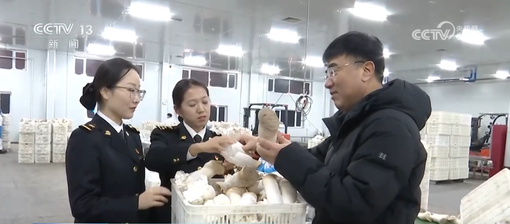 4385万亿元创新高！2024年我国外贸实现“三量”齐升(图6)