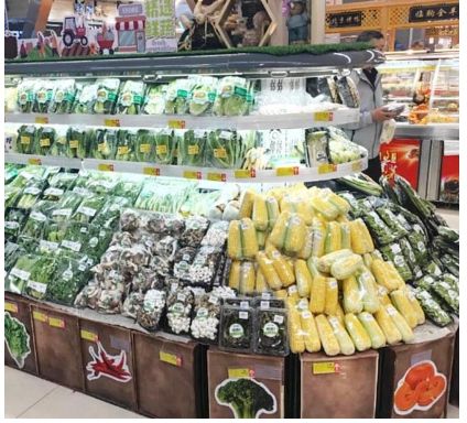 山东潍坊全力打造净菜产业发展新高地(图2)