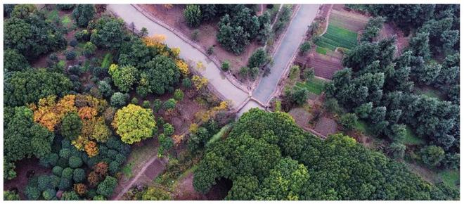 上江南·璟荟名庭(售楼处)首页网站-2025上江南·璟荟名庭销售中心(图26)