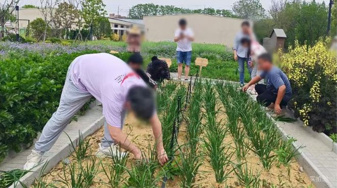 占位大零号湾核心！上海尚湾林语享万亿科创红利区域价值飙升中(图28)