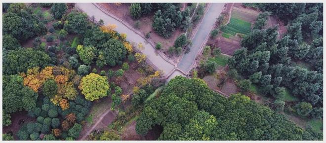 甄选好房@上海上江南·璟荟名庭售楼处电话：项目地址@新房价(图26)