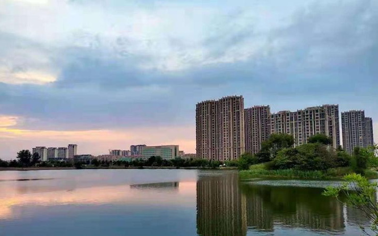 凤观特色产业崛起小镇不“小”(图4)