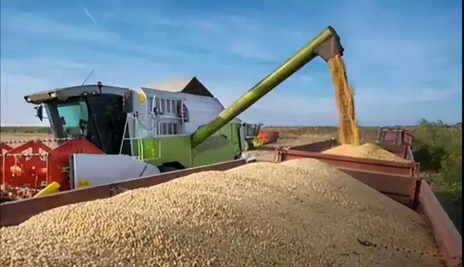 中美各退三步中方另送特朗普一份厚礼加拿大转向中国暗送秋波(图6)