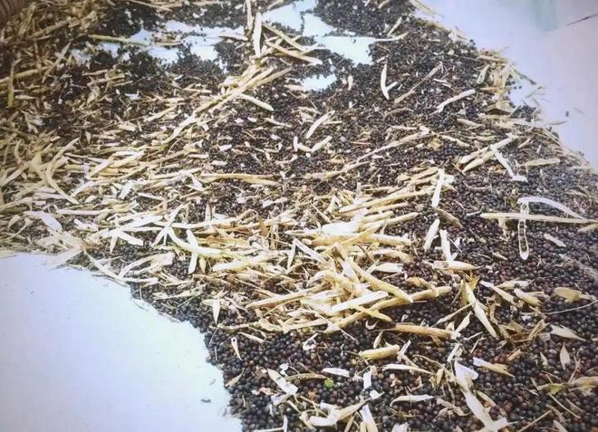 中美各退三步中方另送特朗普一份厚礼加拿大转向中国暗送秋波(图19)