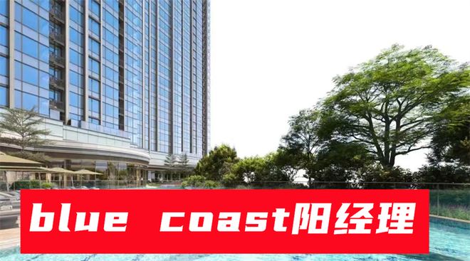 BluecoastII（港岛南区）属于什么档次开发商是谁业主评价(图4)