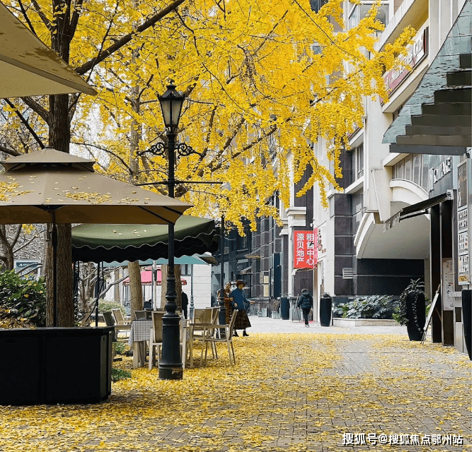 金色贝拉维(售楼处)首页-金色贝拉维销售中心-环境-户型-价格-地址-楼盘详情-配套-电话-交房时间-配套-电话-交房时间(图10)