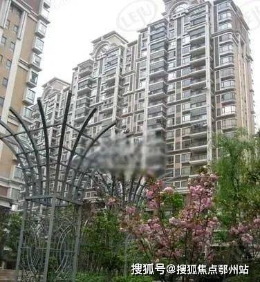 金色贝拉维(售楼处)首页-金色贝拉维销售中心-环境-户型-价格-地址-楼盘详情-配套-电话-交房时间-配套-电话-交房时间(图14)