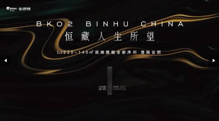 合肥望雲网站发布：火爆热销中!(图3)