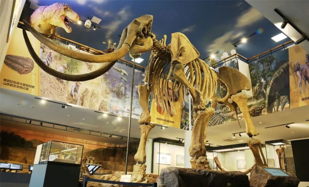 龙象之城山海潍坊！32字带您认识潍坊