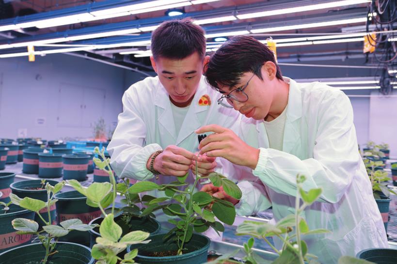 宿州市埇桥区：一座皖北城区何以三度入围全国百强？(图2)