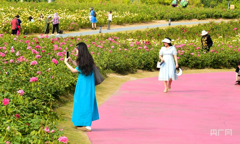 合肥瑶海：书写高质量发展的时代答卷(图1)