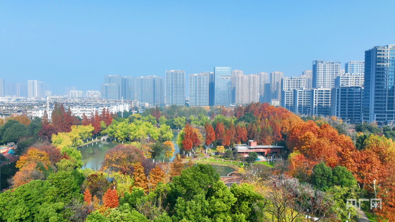 合肥瑶海：书写高质量发展的时代答卷(图3)