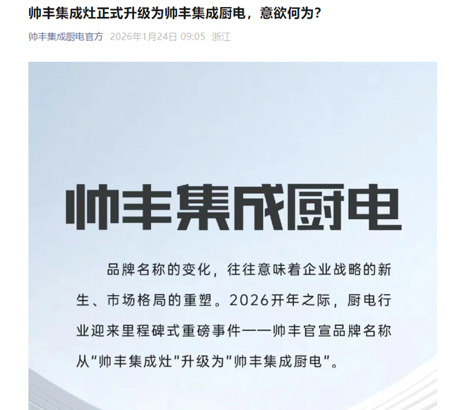 濒临“戴帽”帅丰电器“战略转折点”穿越(图3)