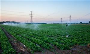 厨具市场发展现状及趋势分析2023(图6)