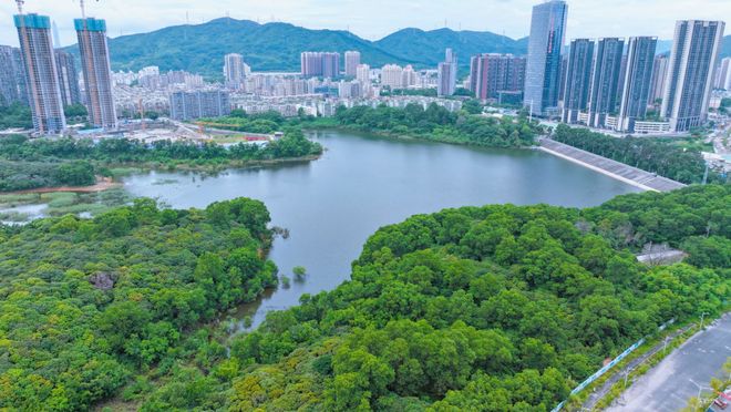 ✨聚焦｜中建鹏宸云筑售楼处发布：品质定义人居新高度(图10)