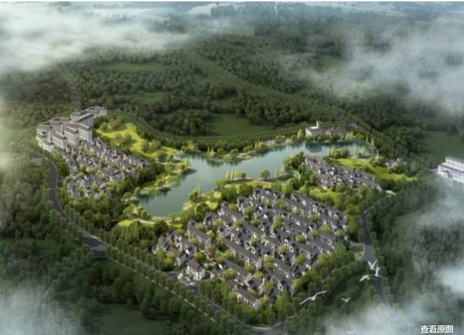 绿城庐境桃源解锁项目核心优势_户型深度解析_理性选房不踩坑(图2)